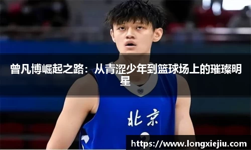 威廉希尔williamhill官方网站