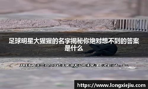 足球明星大猩猩的名字揭秘你绝对想不到的答案是什么